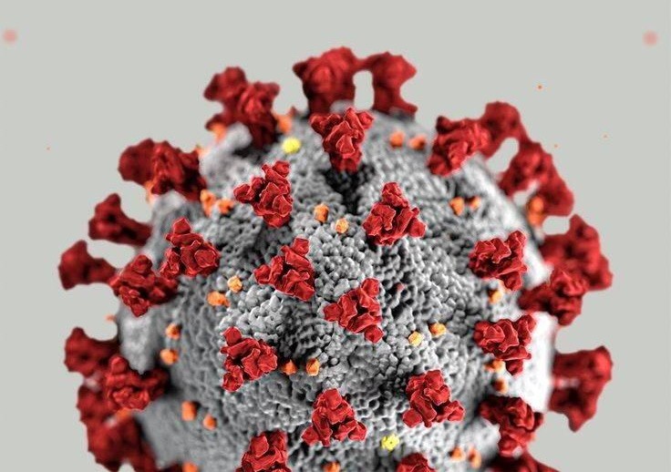 Спільне та відмінне між грипом та коронавірусною хворобою COVID-19